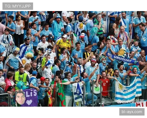 欧洲杯激战正酣，国家队冲突升级引球迷情绪高涨