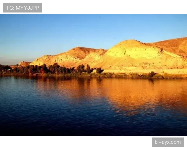 苏丹尼罗河鳄鱼数量激增引生态担忧，专家呼吁关注未来影响